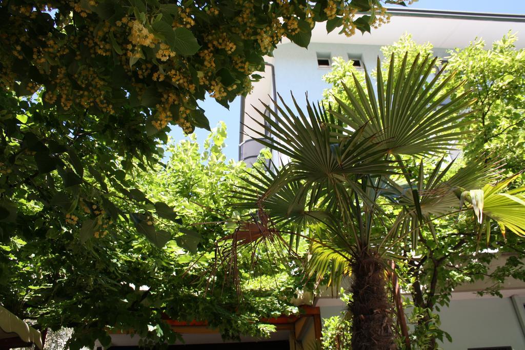 Hotel Villa Dei Gerani リミニ エクステリア 写真